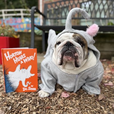 DrakeUGriff's tweet photo. #NewProfilePic https://t.co/aZ0TLoyBRE