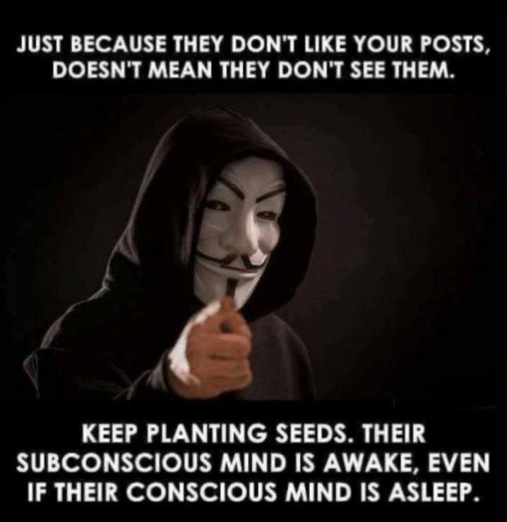 🌬✨️🌱