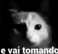 Karalhus tweet media