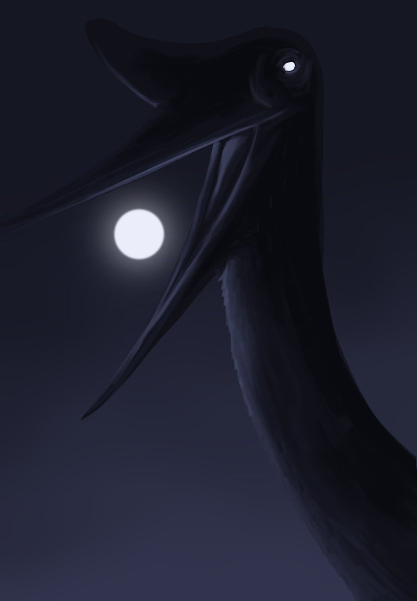 𓆀 rabid WEZDARCHID 🍉 tweet media