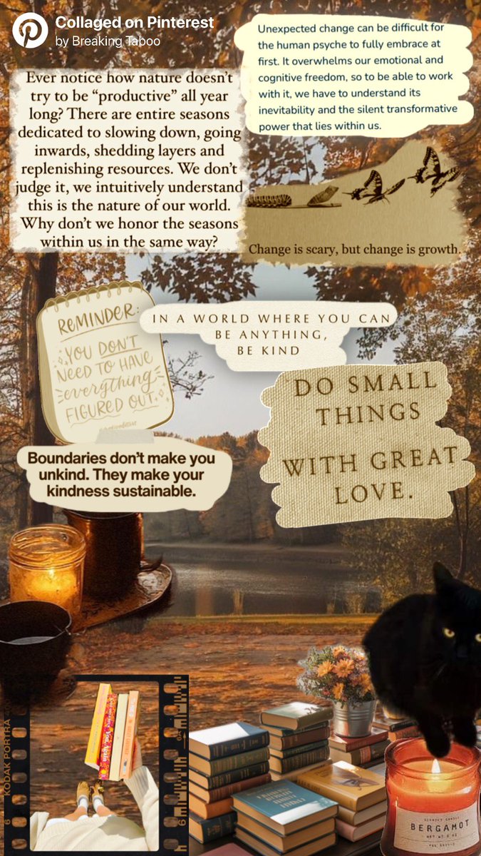 Breaking Taboo tweet media