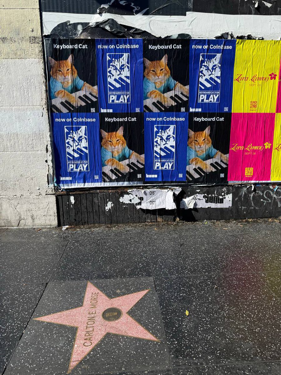LarpVonTrier's tweet image. Beautiful to see something that once was just a foolish idea showing up in real life

The future is bright for the Keyboard Cat