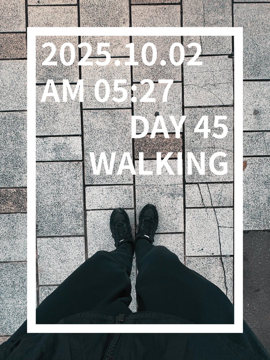 nichijo_83's tweet image. 珈琲愛好家の朝は早い。
#100日チャレンジ 
#day45