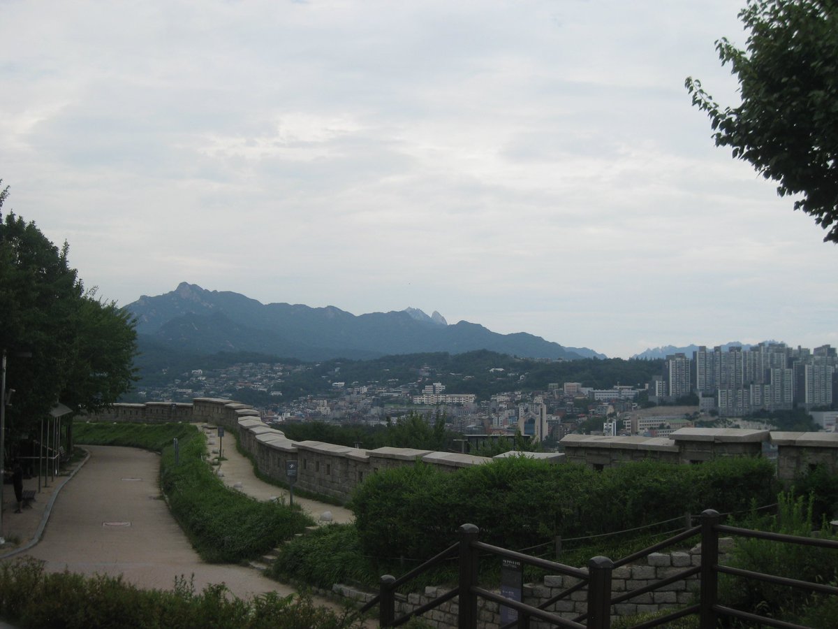 prostipirugolfo ꃋᴖꃋ tweet media