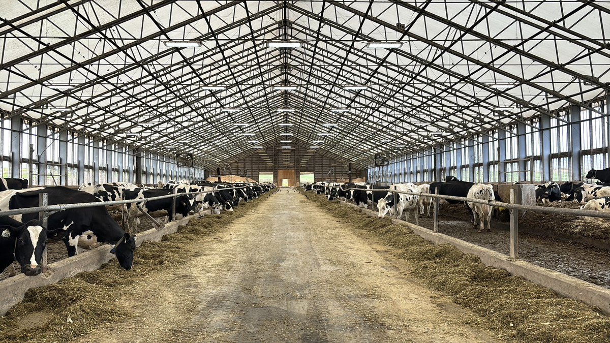 Jonathan Parker tweet media