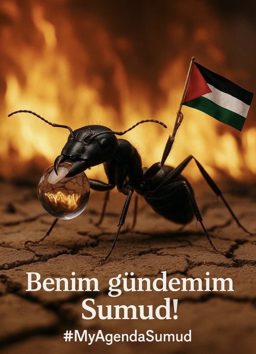 Benim gündemim Sumud!

#MyAgendaSumud