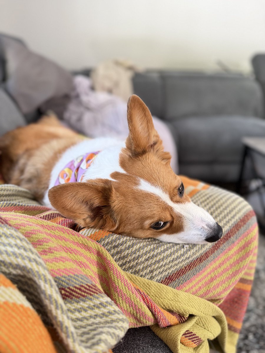 Someone had a spa day!