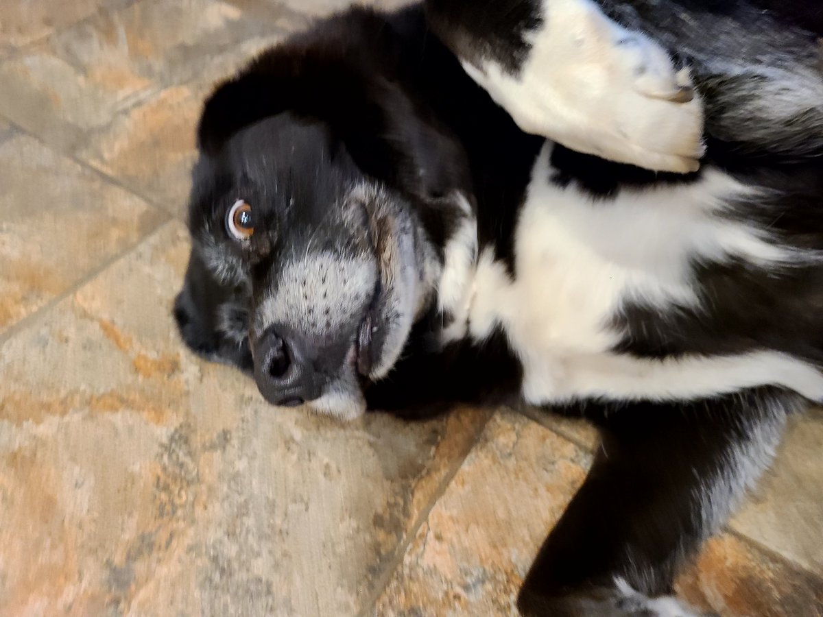 Alicia M. Walker, Ph.D 🌊🩷💜💙🏳️‍🌈 tweet media