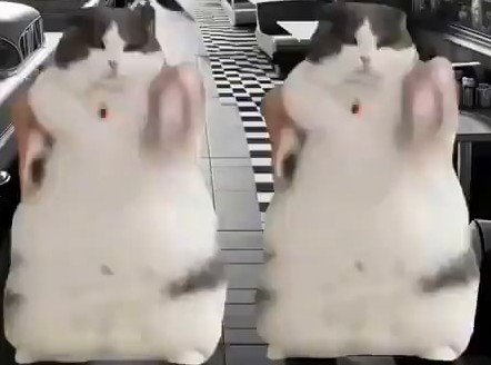 <a href="/nikicaga/">Nikolaj🇺🇦🇵🇸</a> Politicians treating the U.S. budget very bad