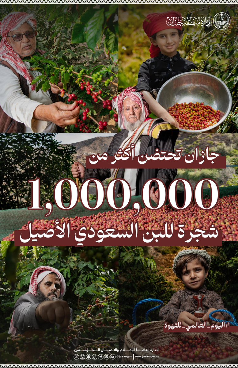 #إنفوجرافيك_إمارة_جازان:

خلال العام 2025 بلغ عدد أشجار البن في #جازان أكثر من 1,000,000شجرة. 

#اليوم_العالمي_للقهوة