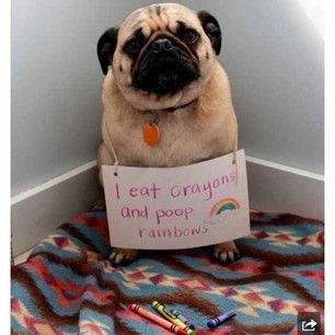 Rumplepimple1's tweet photo. #ImLessThanPerfectBut RAINBOWS! https://t.co/118v6YsCxE