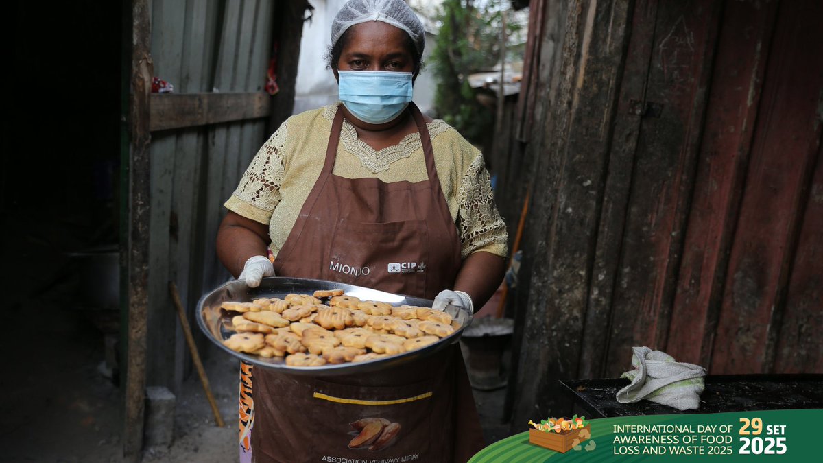 CGIAR's tweet photo. 🔊 | #FLWDay 

In Southern Madagascar, CIP supports women &amp; youth-led SMEs to transform orange-fleshed sweetpotato 🍠 into affordable, vitamin A–rich products.

The result? Reduced waste, stronger markets &amp; resilient communities.

👉🏽 https://t.co/pMPhLPJccp

🔸 @Cipotato https://t.co/CvGZZtXT7z
