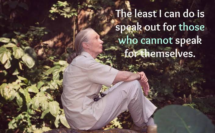 OfficialMarike's tweet photo. Words to live by🙏 RIP Dr Jane Goodall! The impact you had on the world will never be forgotten! 🦧🌱 https://t.co/X0Nyj13d6R