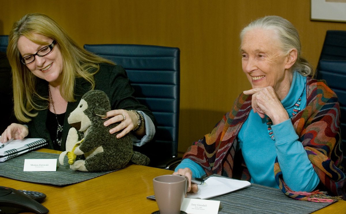 Feeling blessed to have a job that's allowed me to meet such special people. #JaneGoodall was guest editor of the @CalgaryHerald in 2010. Her plush monkey, Mr. H., was meant to be a source of hope. It had been to dozens of countries &amp; touched by millions. bit.ly/3VNoJtN