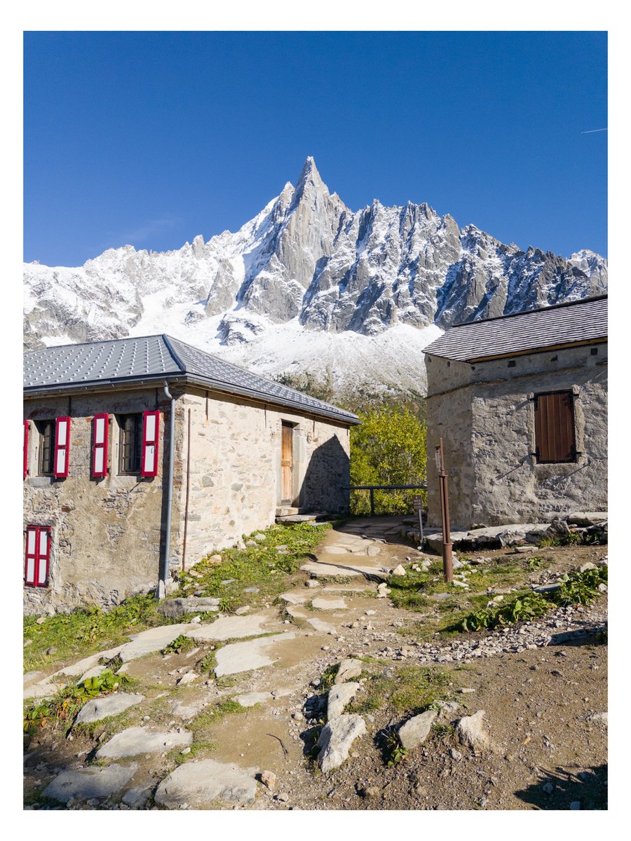 David ImeI tweet media