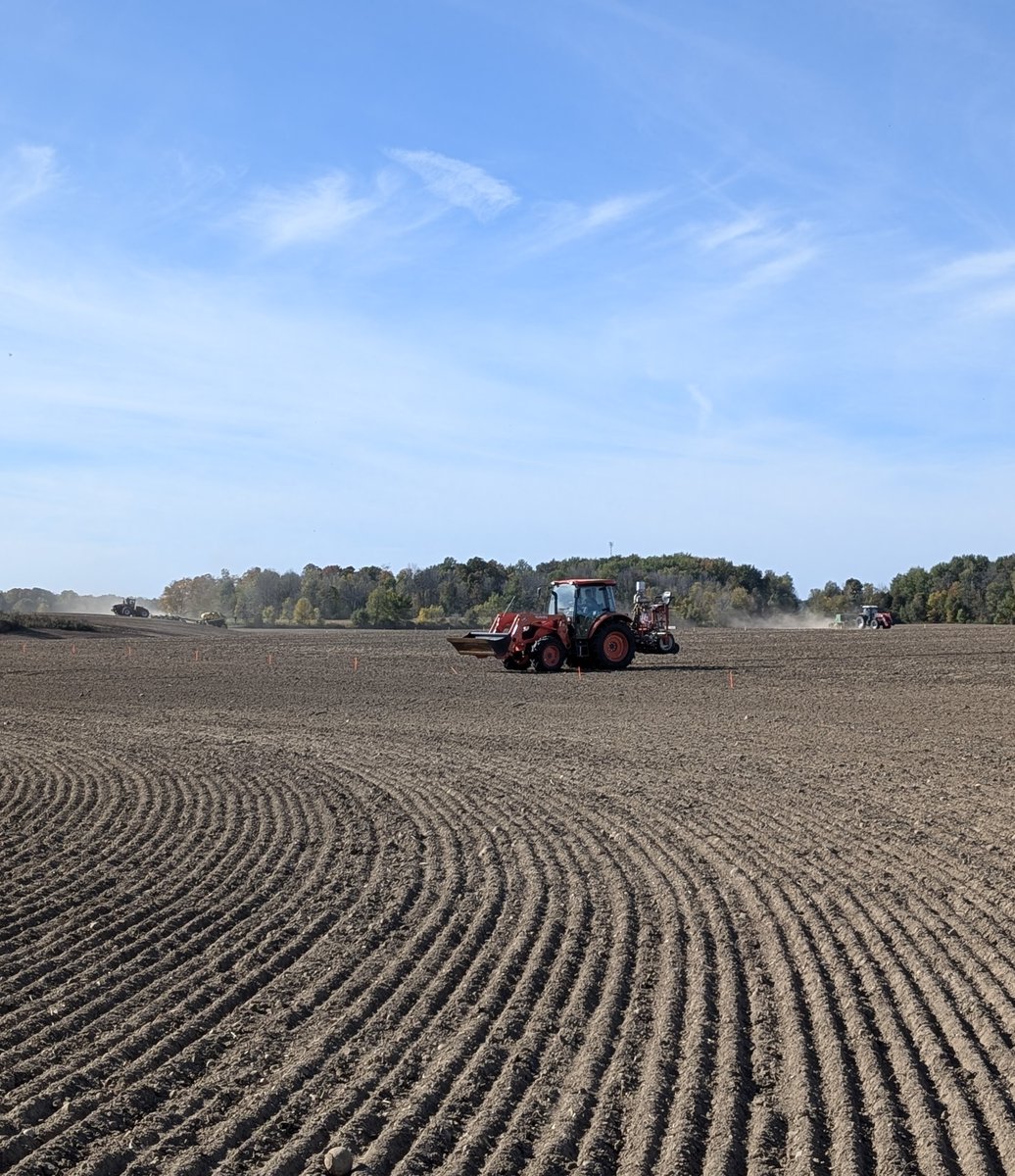 Ellen Sparry tweet media