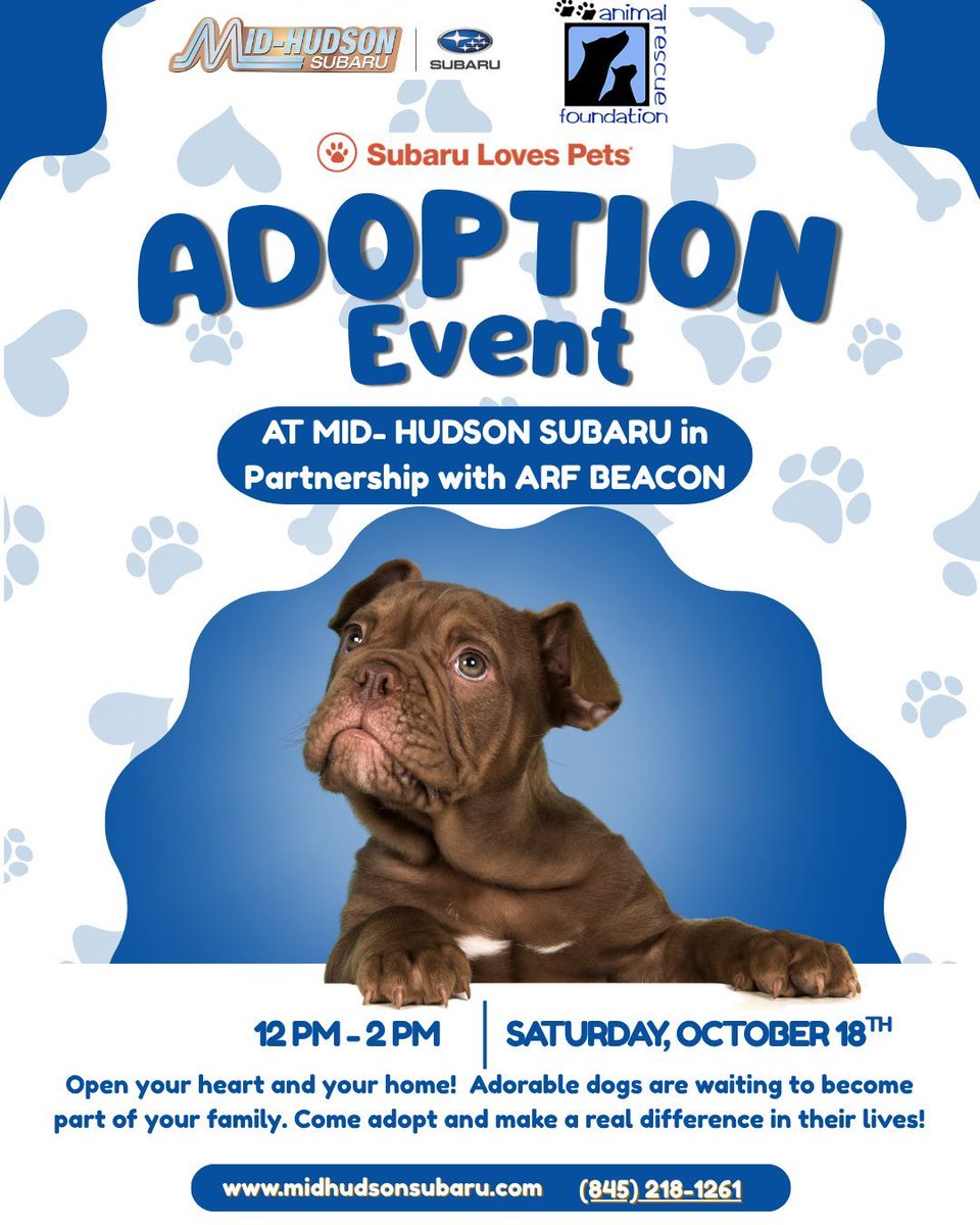 Mid-Hudson Subaru tweet media