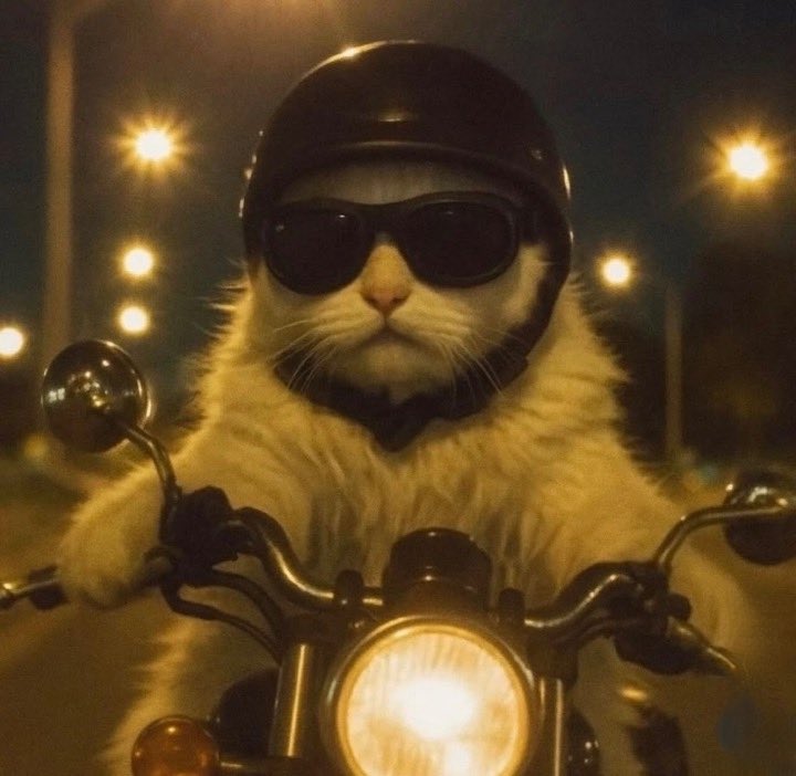 Be delulu.

It’s the only way to slay ✌️😎