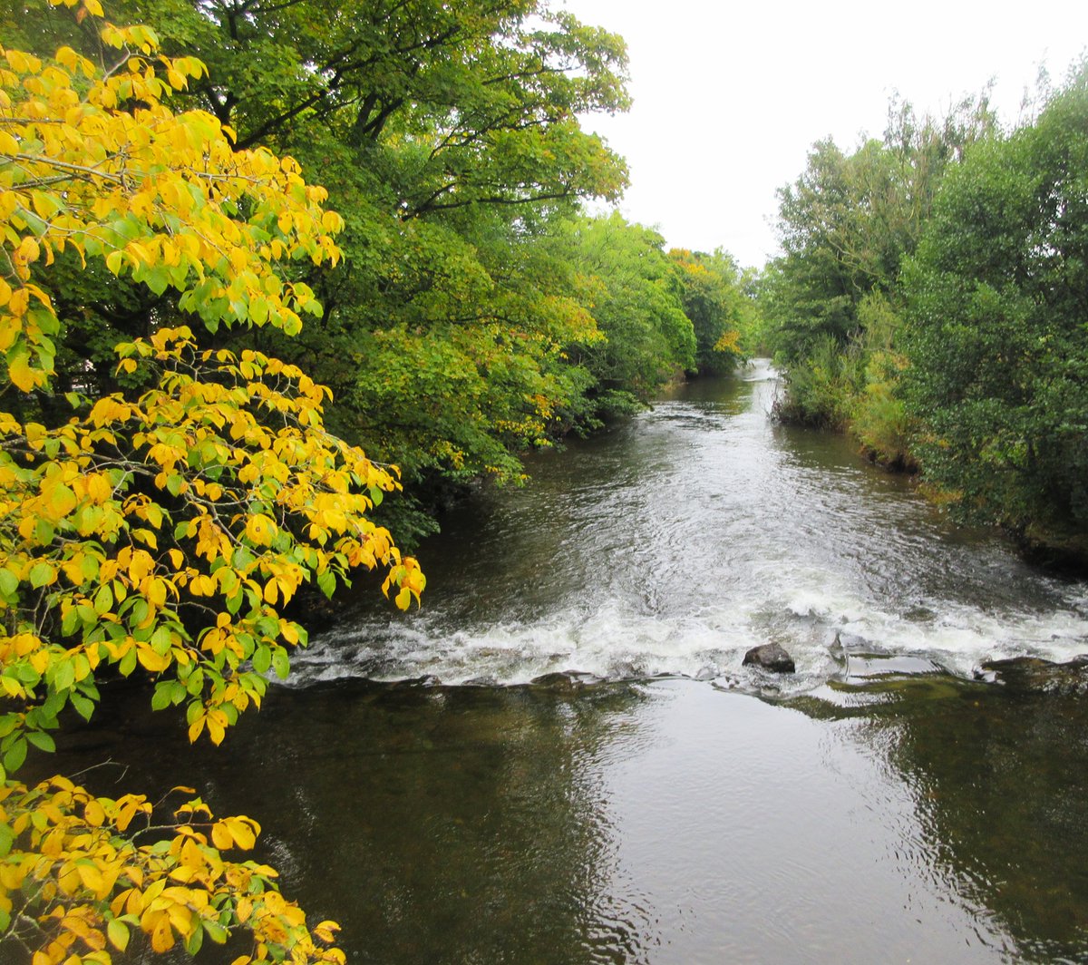 StanLeigh18's tweet photo. Today's walk in Carlisle 
A circuit from Denton Holme to Cummersdale, Blackwell,  Hammonds Pond and Currock.
Enjoying the lively River Caldew
@ShowcaseCumbria @Cumbria_Lakes @OliviaJack23 https://t.co/PJDTwXY0qX