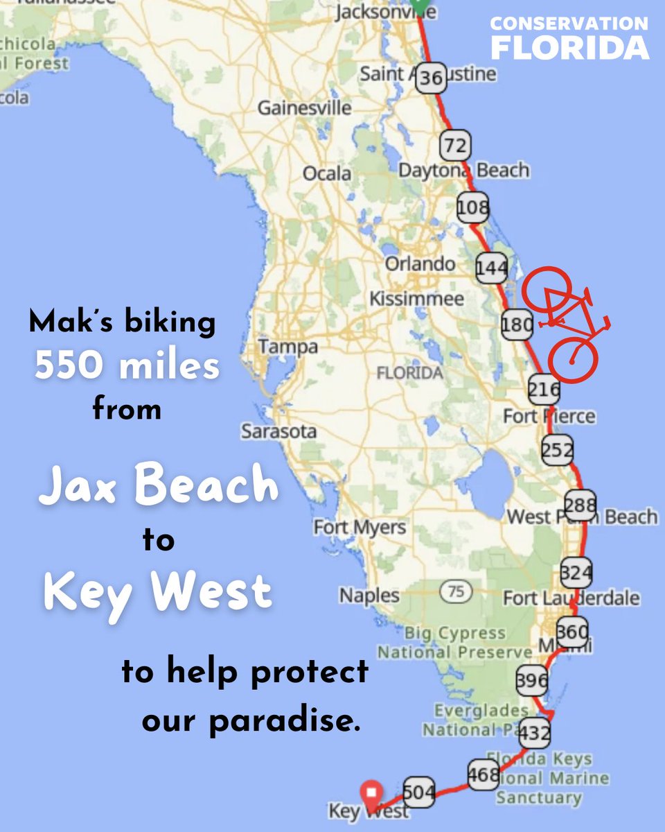 Conservation Florida tweet media