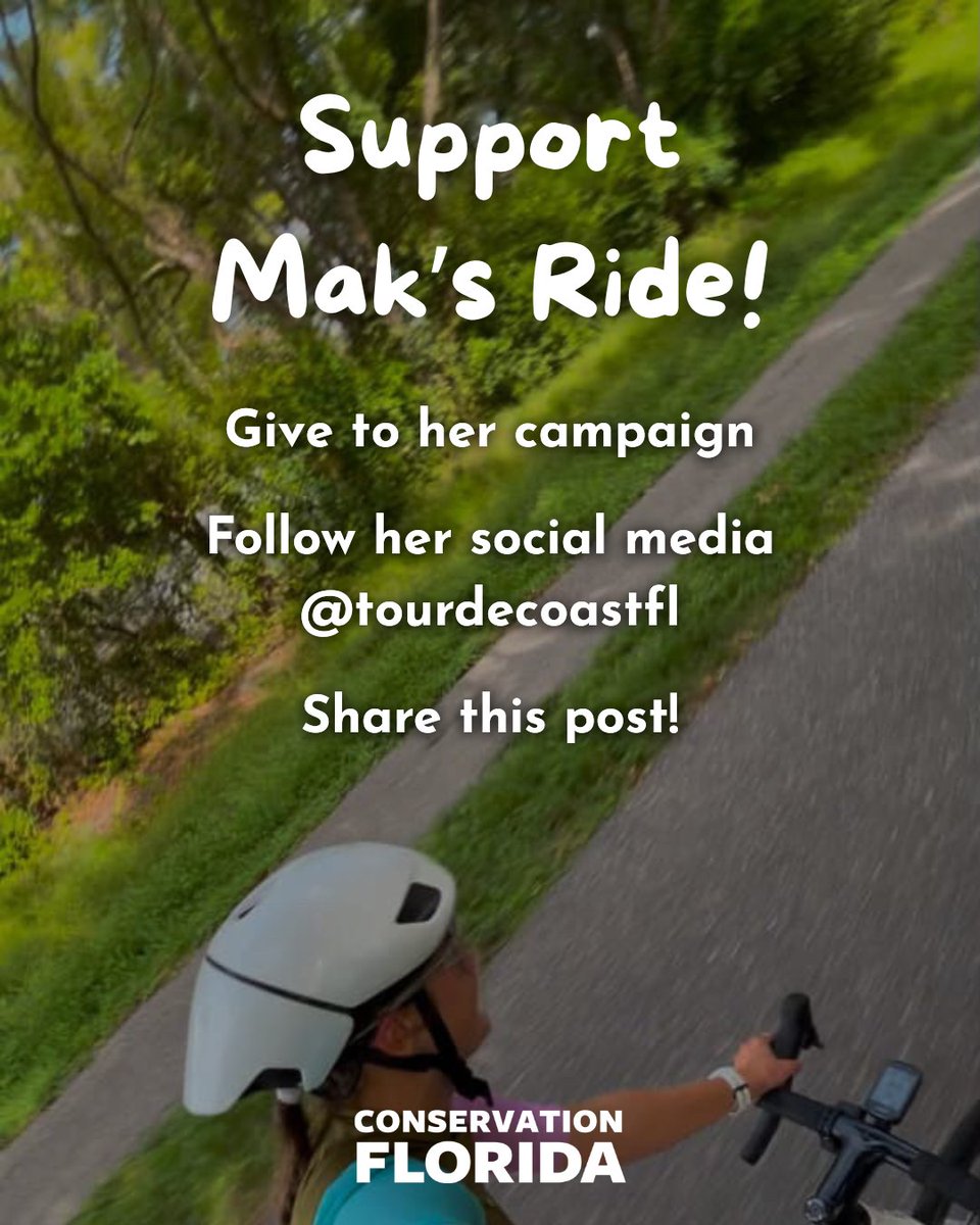 Conservation Florida tweet media