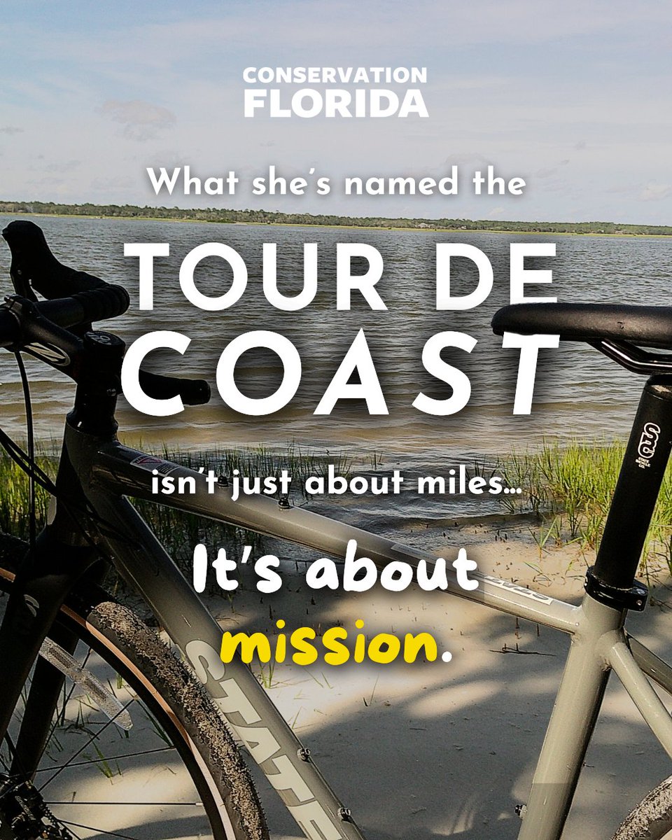 Conservation Florida tweet media