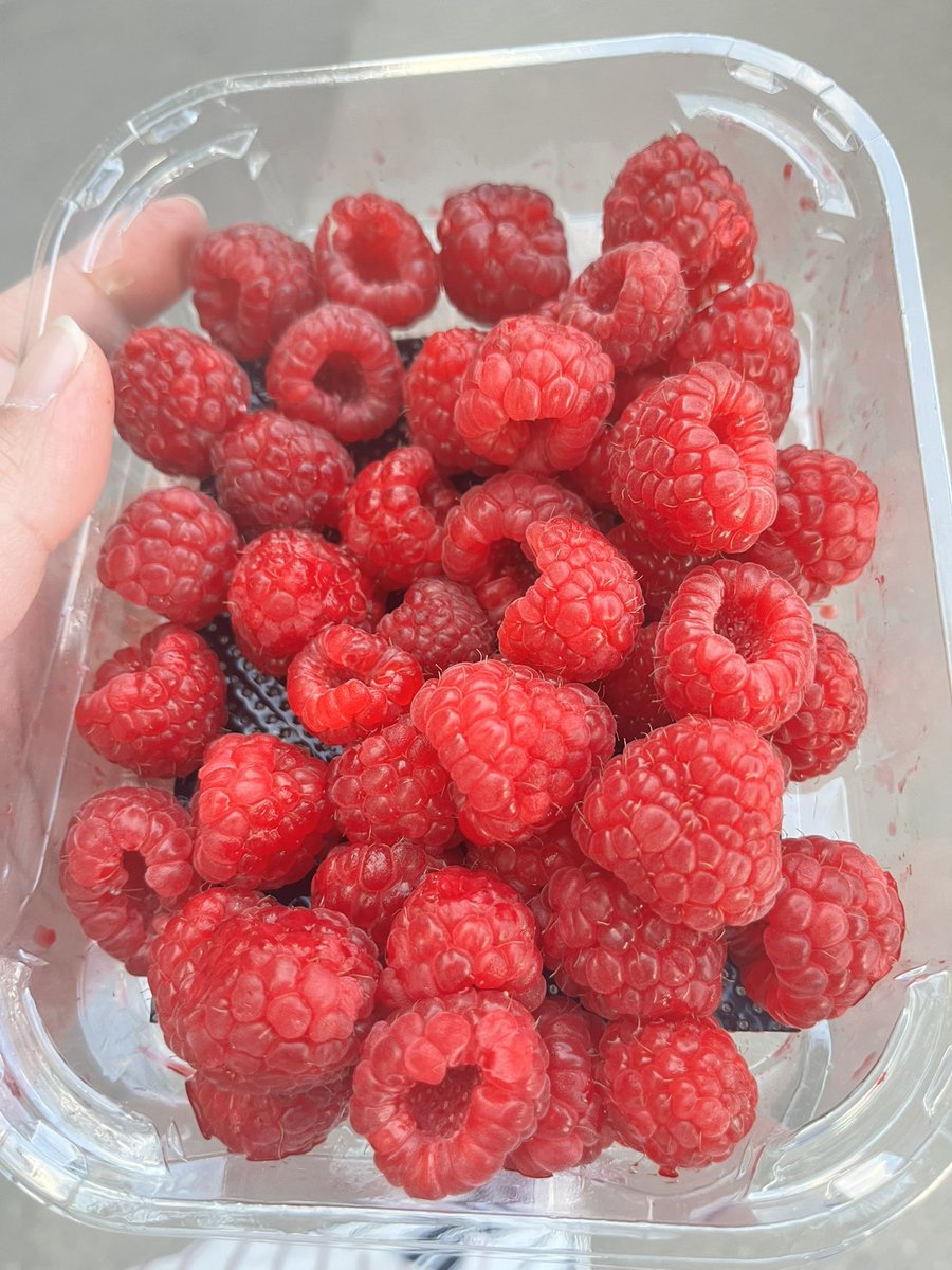 Iraconda tweet media