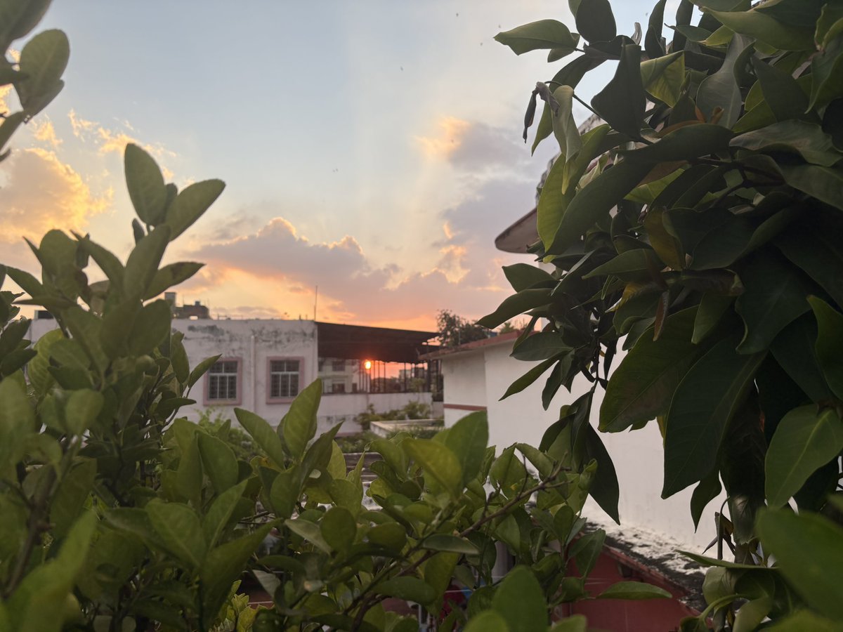 Monoreena Acharjee Majumdar tweet media