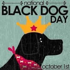 AishveryaaNidhi's tweet image. Today, on #NationalDogDay,
I honor a soul who wore a black coat of love.

A guardian, a shadow,
a heartbeat at my feet.

Though the world feels quieter without you,
my heart still echoes with your joy.

You are gone from my eyes,
but never from my life.
Forever my beautiful boy.