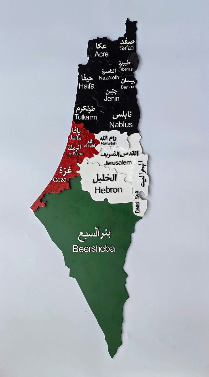 Alqawasmi_Rula's tweet photo. @yousef_ki1 PALESTINE 🇵🇸 WILL BE FREE https://t.co/nY0tCfOcYq