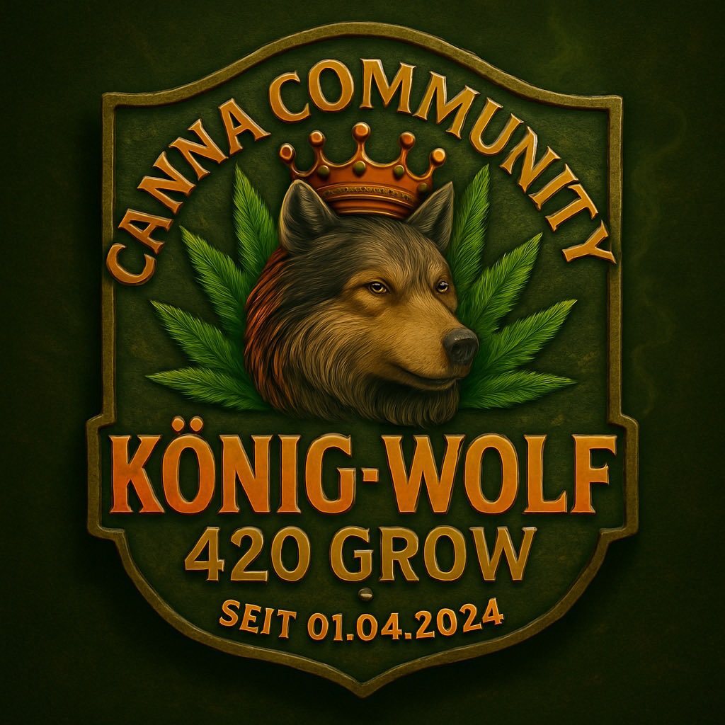 KoenigWolf42O's tweet photo. @CannaComGermany sehr gut 👍🏻 da haben wir weniger Probleme alls auf Insgesamt 🧡🪴🧡 https://t.co/zWGsn6xpJR