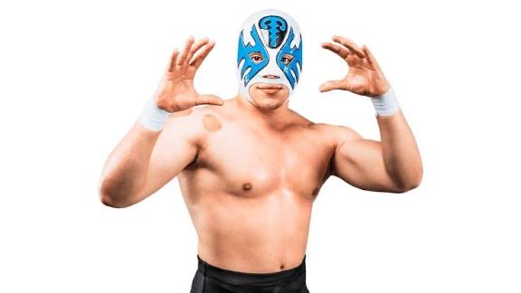 Victor Fallaci tweet media