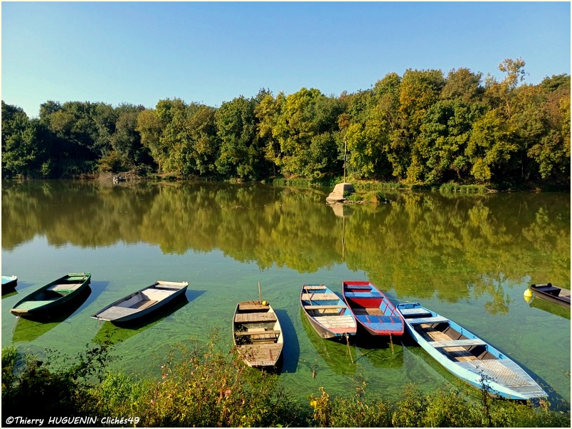 Cliches49's tweet photo. Embarquement photographique sur les bords de la Sarthe à Cantenay-Epinard...
#barque #borddesarthe #cantenayepinard #clichés49photographies https://t.co/wPo3hLbtau