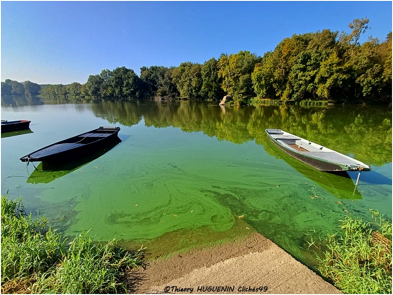 Cliches49's tweet photo. Embarquement photographique sur les bords de la Sarthe à Cantenay-Epinard...
#barque #borddesarthe #cantenayepinard #clichés49photographies https://t.co/wPo3hLbtau
