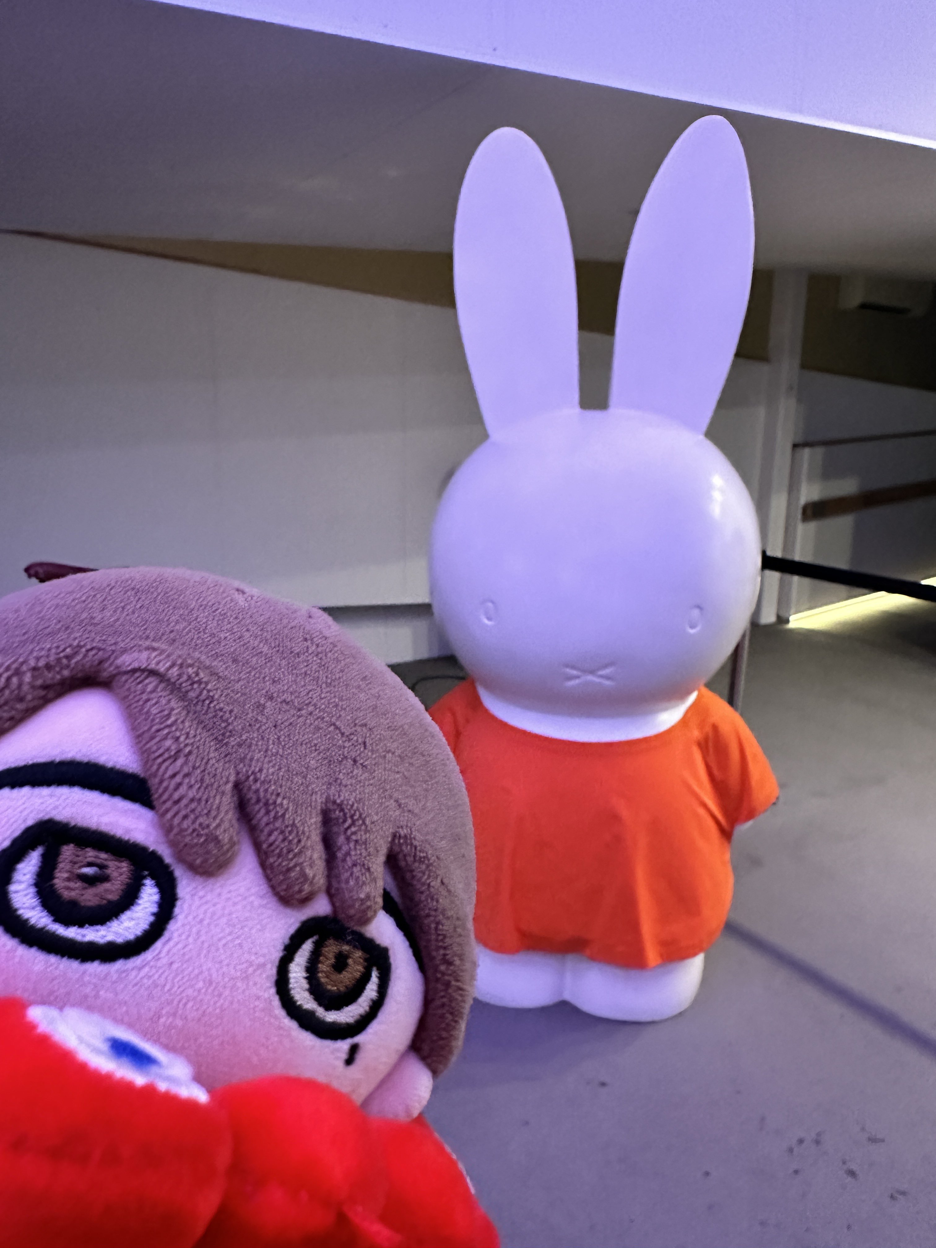 ぐぅまるさん🍊 (@guumaru_kj8) / X