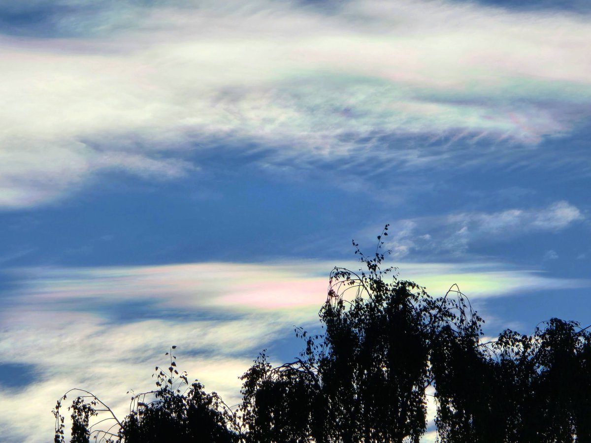pwmoes's tweet photo. Rond 17:35 was dit mooie bijzondere  en zeldzame verschijnsel #irisatie #wolken te zien boven #Enschede. @WilliamHuizinga @helgavanleur @BuienRadarNL @StormchaserNL @Weerplaza @onwukaa @marjondehond https://t.co/qNVaVtSSKW