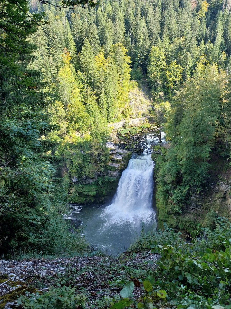 Pendant cette semaine de pause je suis dans une région où je croise beaucoup de 🚜 aux couleurs et au nom d'un célèbre #FrAgTw 😉 La #braquedeweimar 🐕 profite bien également 🥰