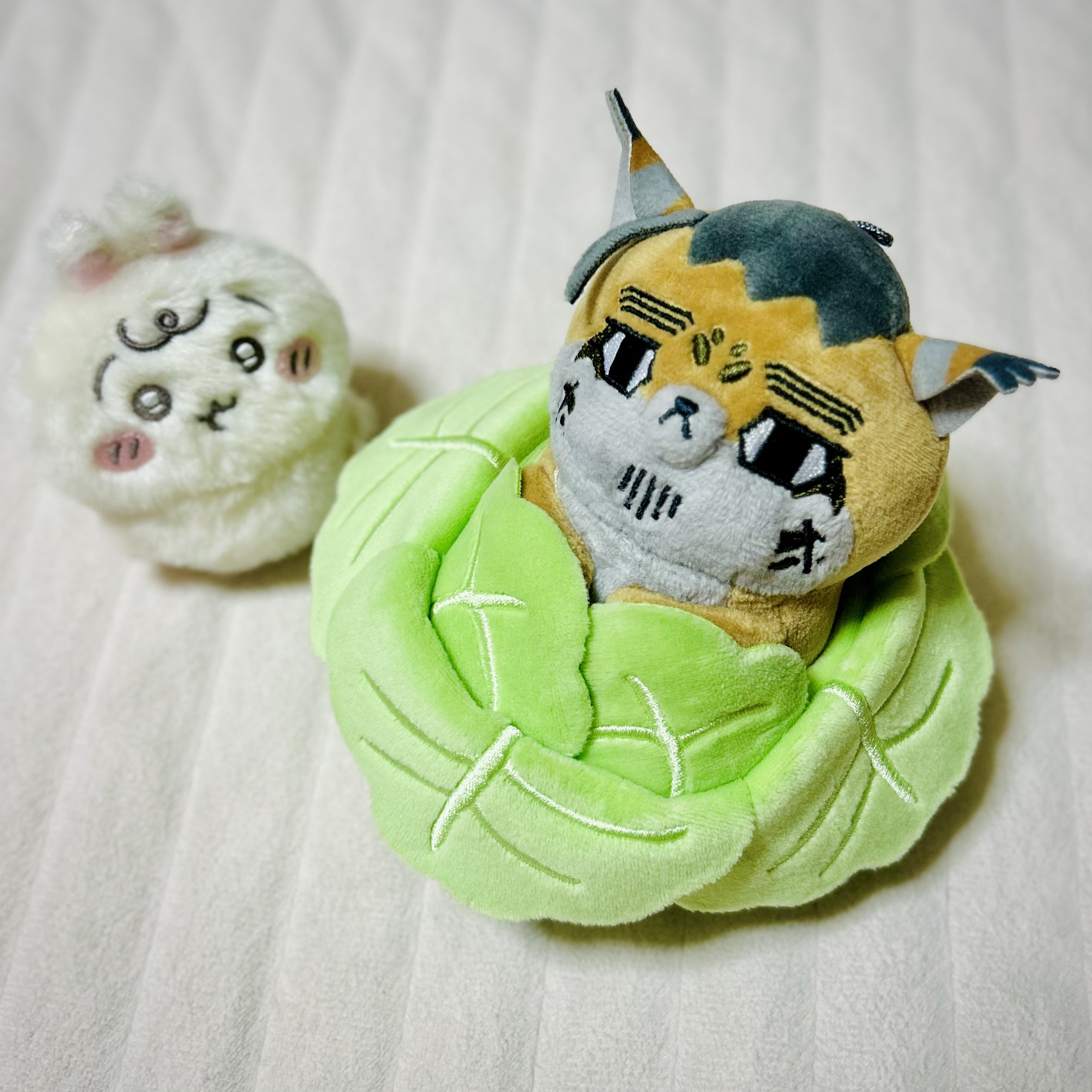 ちょびうさぎ　3点 🩶うさぎのもふ on X: 