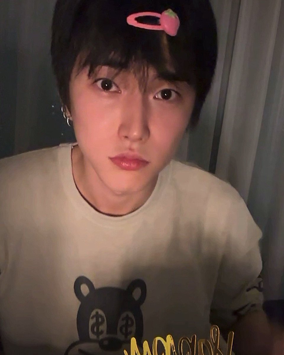 딸기핀 박제하자