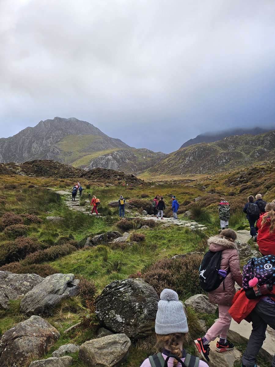 Ysgol Wepre School tweet media