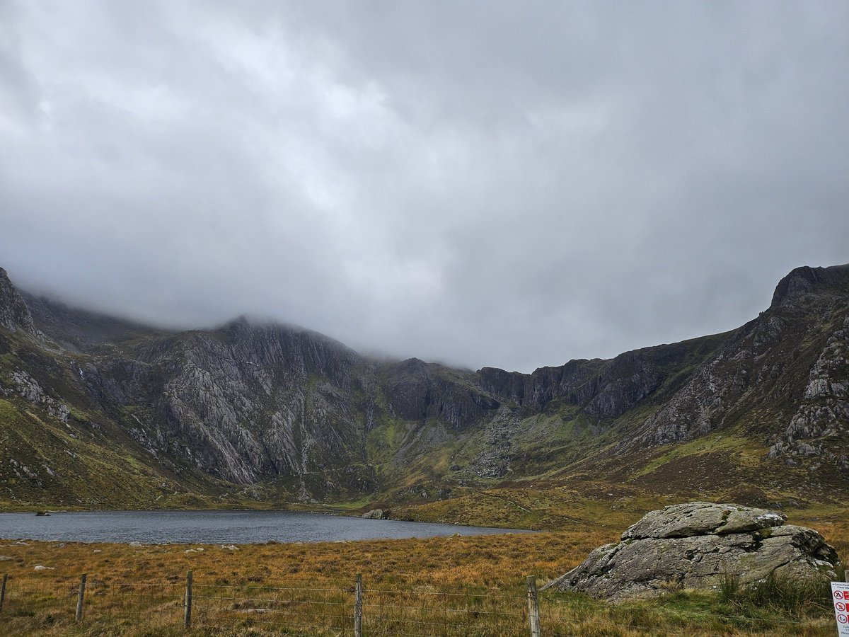 Ysgol Wepre School tweet media