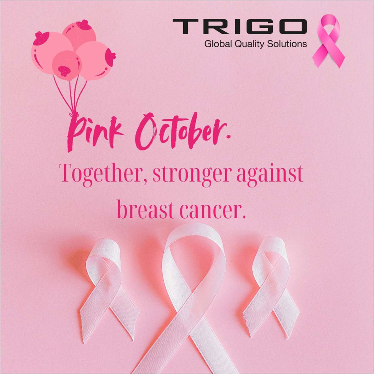 🎗️ Pink October begins today. A month to raise awareness about breast cancer, support research, and highlight the importance of screening.
At #TRIGO, we are committed to sharing message. 
Because every action matters.