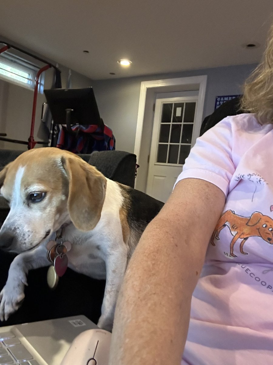 staceystring's tweet image. I don’t understand why I don’t work from home more often 🙄🙄🙄🙄