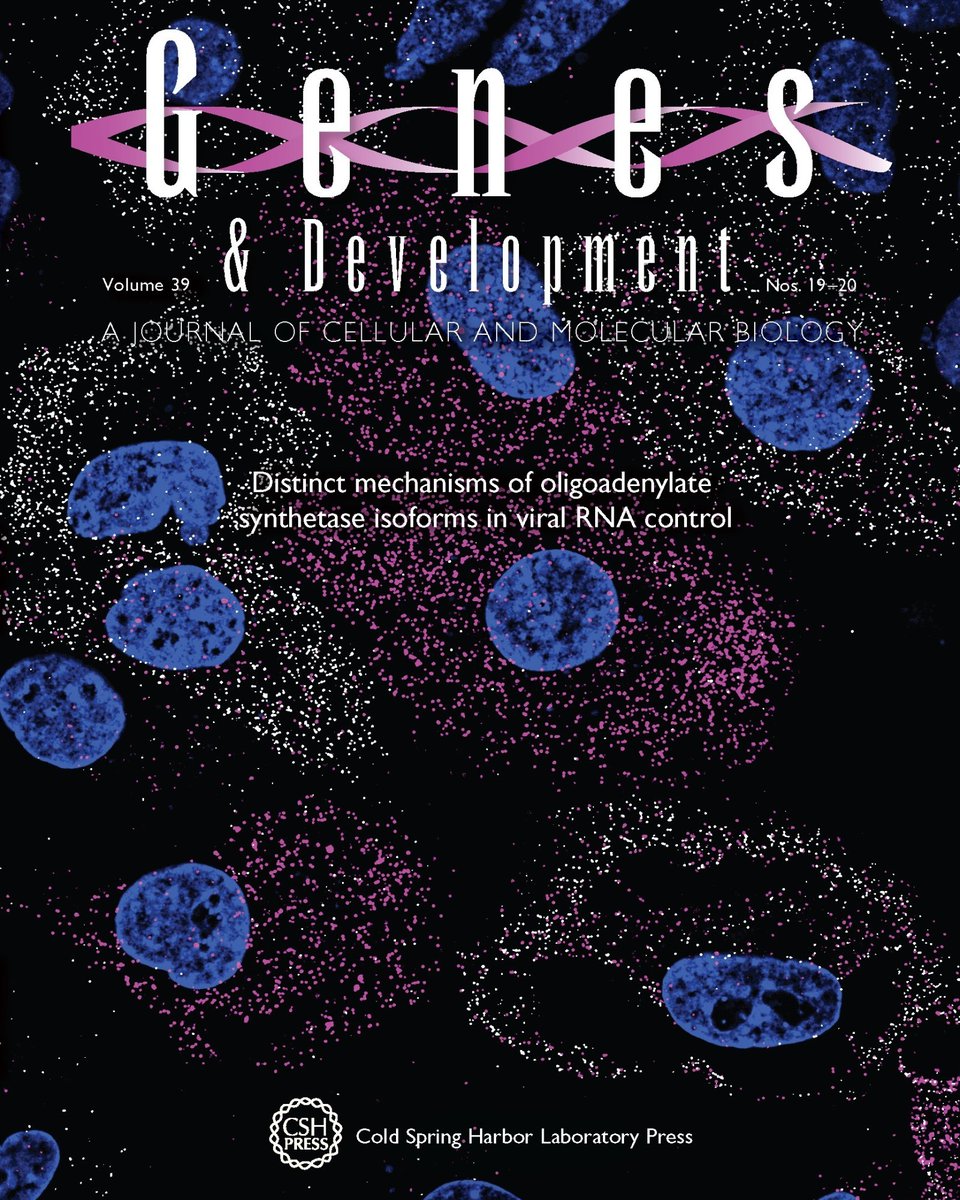 🚨 NEW ISSUE ALERT!!! 🚨        

New Outlook, Review and Research Papers online now at Genes &amp; Development.  

Click on the link to learn more:   
➡️ genesdev.cshlp.org/content/39/19-…