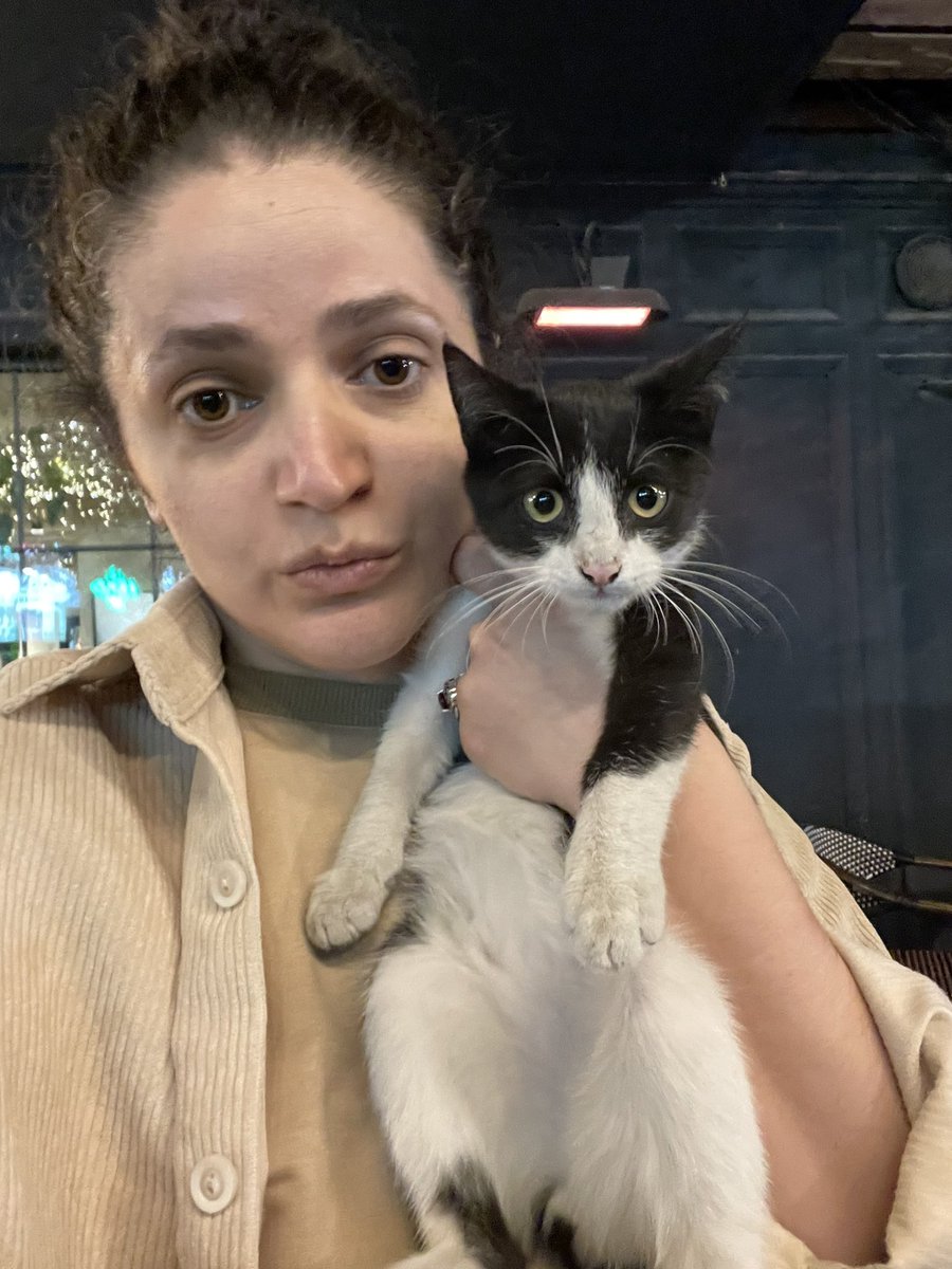 sultanbegova's tweet image. Ереван! Смотрите какой красавчик ищет дом. Я четвёртого себе взять не смогу, но на 100500 % уверена, что тот, кто заберёт этого типуреллу будет самым счастливым человеком

У малого повреждена лапка и нужны прививки. Сейчас обитает в Set на Сарьяна