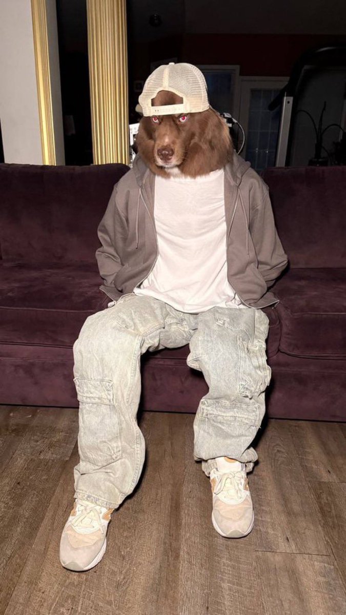 sourkrout tweet media