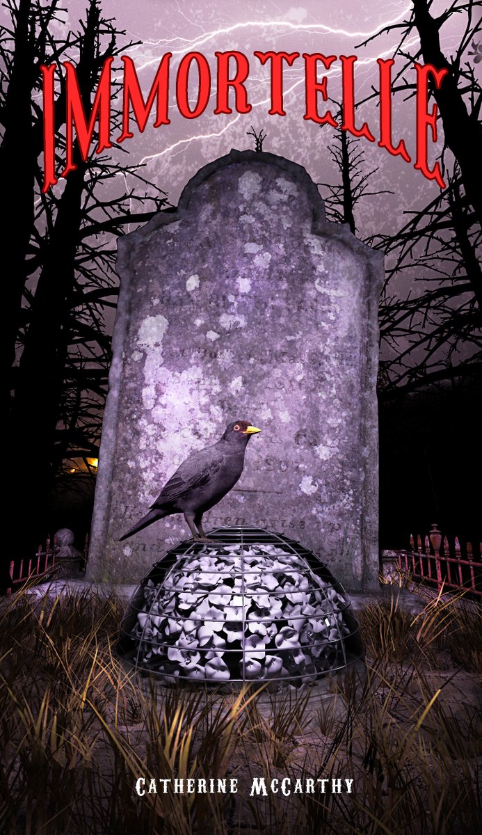 serialsemantic's tweet image. Like the quiet type, all Gothic and mysterious? I&apos;m talking books, not men.😄
&apos;Immortelle&apos; is the perfect read for #spookyseason. 
Think white-washed church atop a cliff and ghosts that help a grieving mother exact revenge.
Available @SobeloBooks and all the usual places.