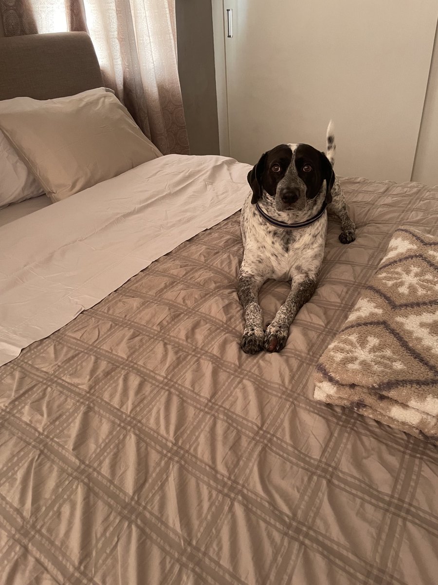 Esa cara es porque yo le dije que íbamos a ir a Melo por sus snaks, pero tengo que entregar una traducción. No entra en razón. Fes