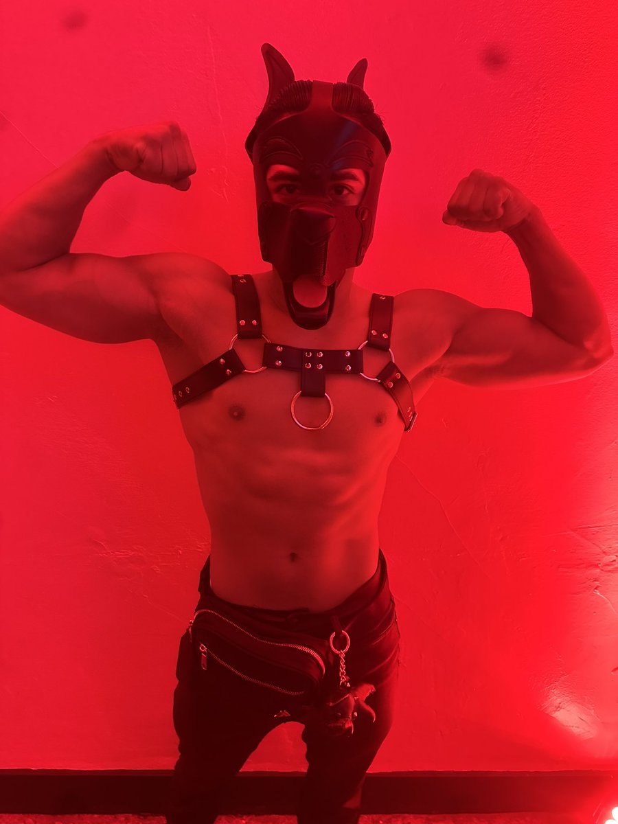 blady71455's tweet photo. Folsom San Francisco 🐾 https://t.co/LwSdUI061L
