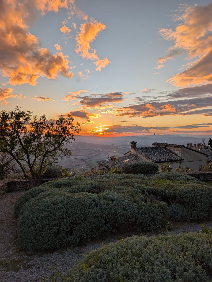 Jackson Boxer tweet media